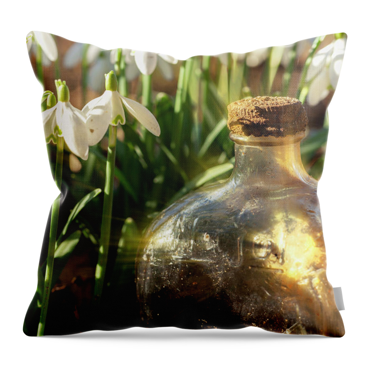 Snowdrops Throw Pillow featuring the photograph Snowdrop flowers and old glass jar with sunlight by Simon Bratt