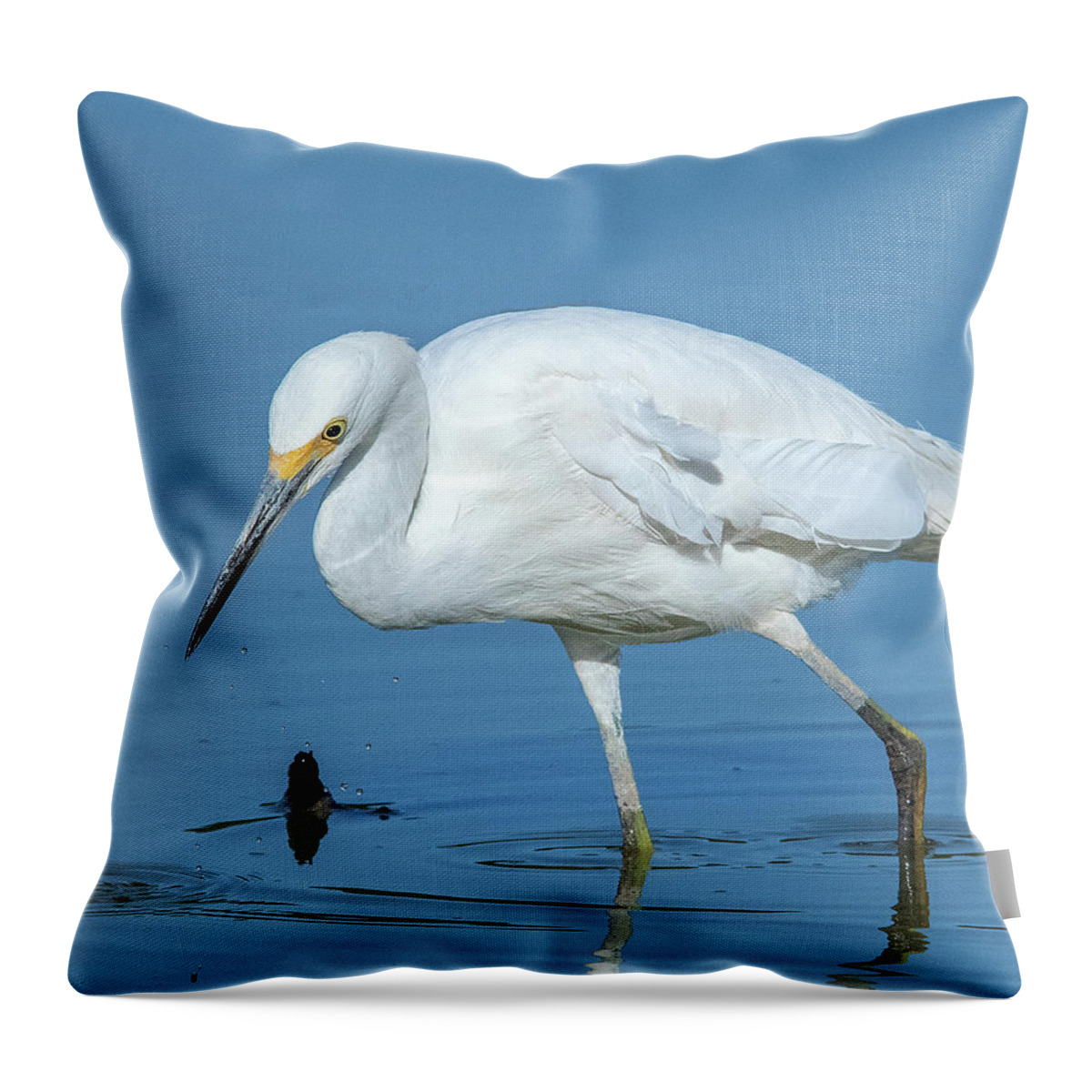 Nature Throw Pillow featuring the photograph Snowy Egret DMSB0180 by Gerry Gantt