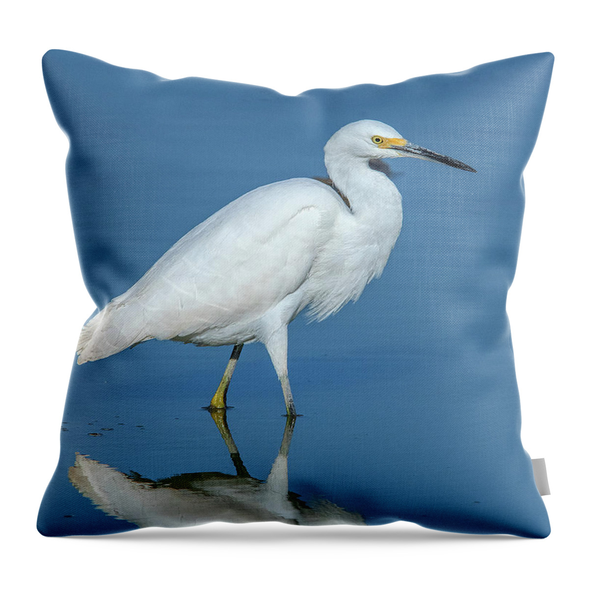 Nature Throw Pillow featuring the photograph Snowy Egret DMSB0182 by Gerry Gantt