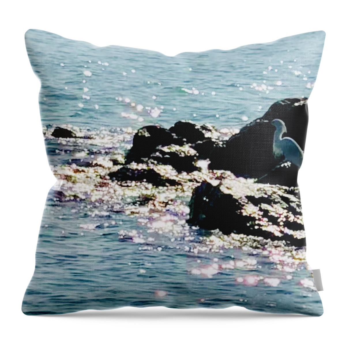 Sea Throw Pillow featuring the photograph Snowy Egret Watching for Dinner Captiva Island by Shelly Tschupp