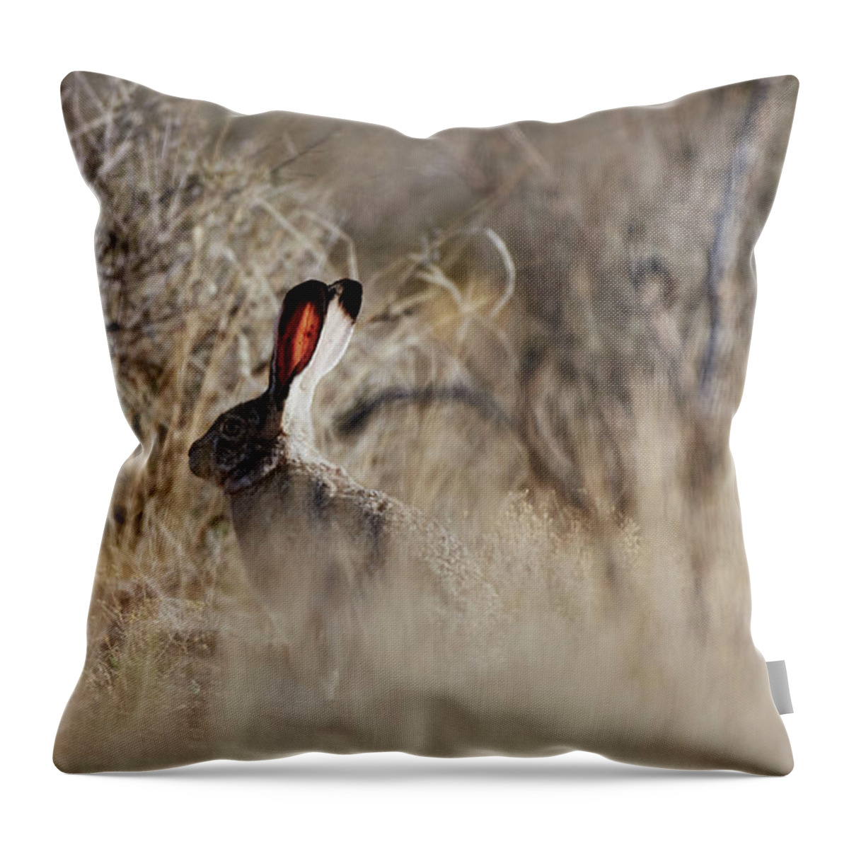 Desert Rabbit Throw Pillow featuring the photograph Southwest Desert Hare by Robert WK Clark