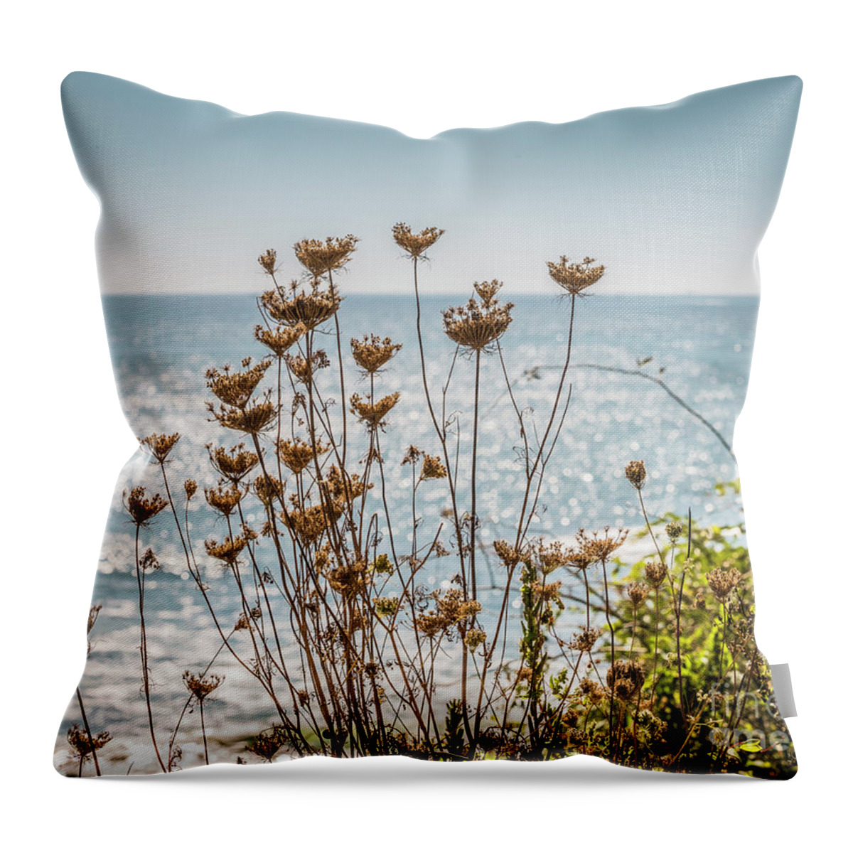 Plants Throw Pillow featuring the photograph Sparkling background by Agnes Caruso