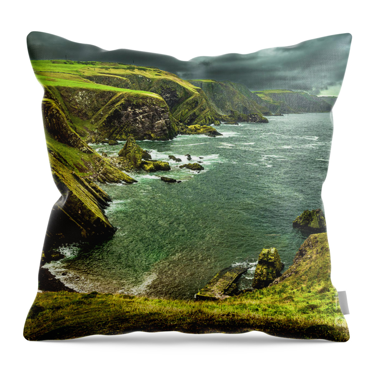 Agriculture Throw Pillow featuring the photograph Spectacular Atlantik Coast And Cliffs At St. Abbs Head in Scotland by Andreas Berthold