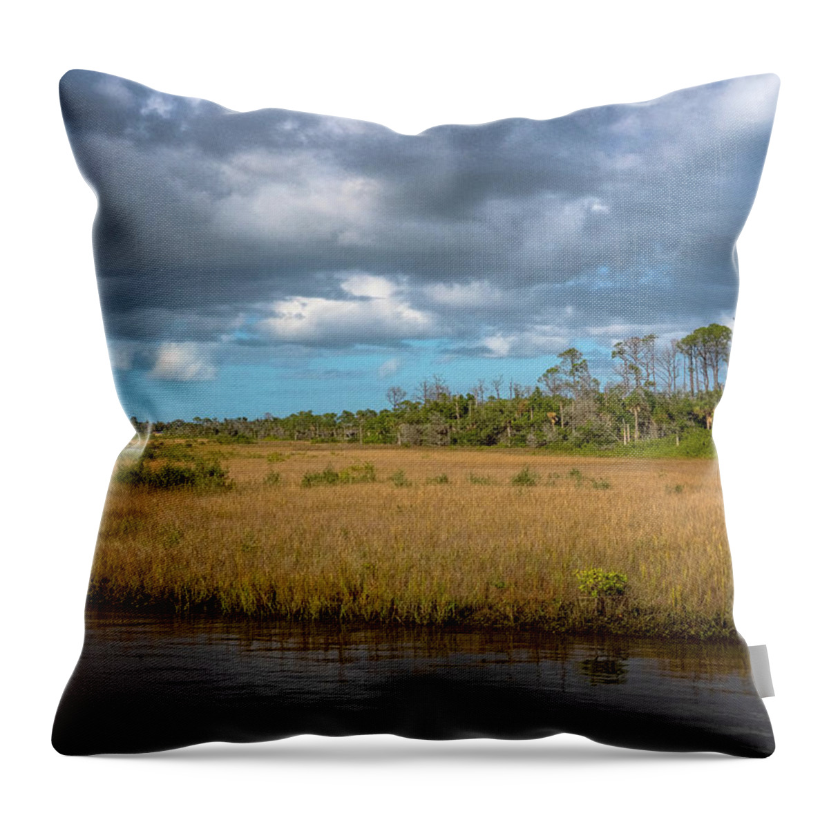 Barberville Roadside Yard Art And Produce Throw Pillow featuring the photograph Spruce Creek Park by Tom Singleton