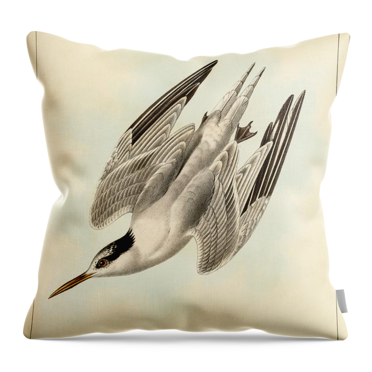 Birds Throw Pillow featuring the mixed media Sterna Elegans by Bowen and Co lith and col Phila