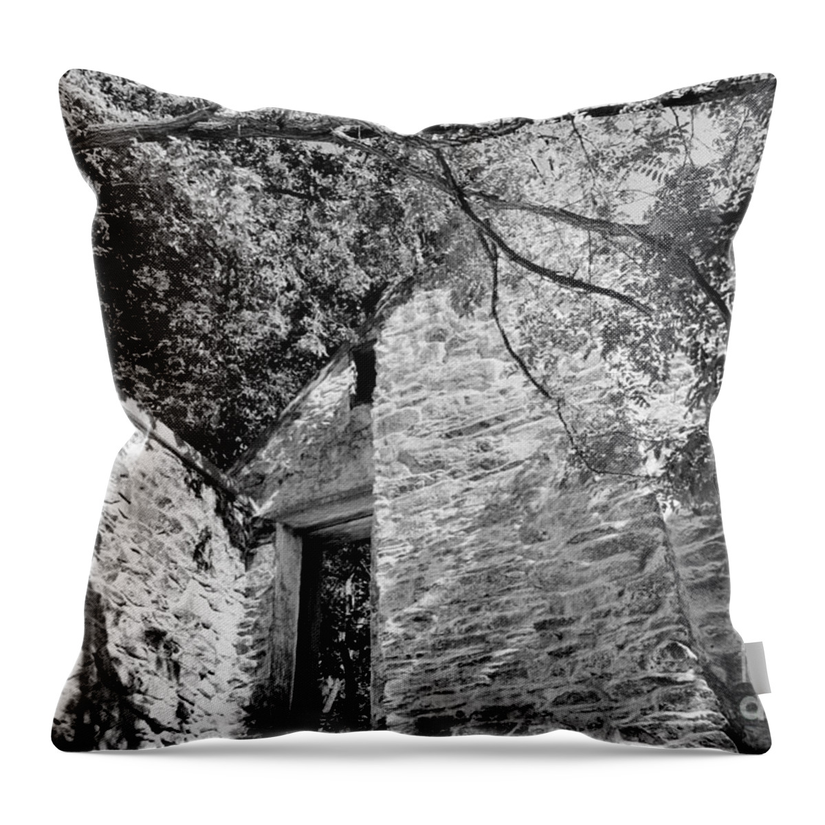 Stone Throw Pillow featuring the photograph Stone House, Harpers Ferry by Steve Ember