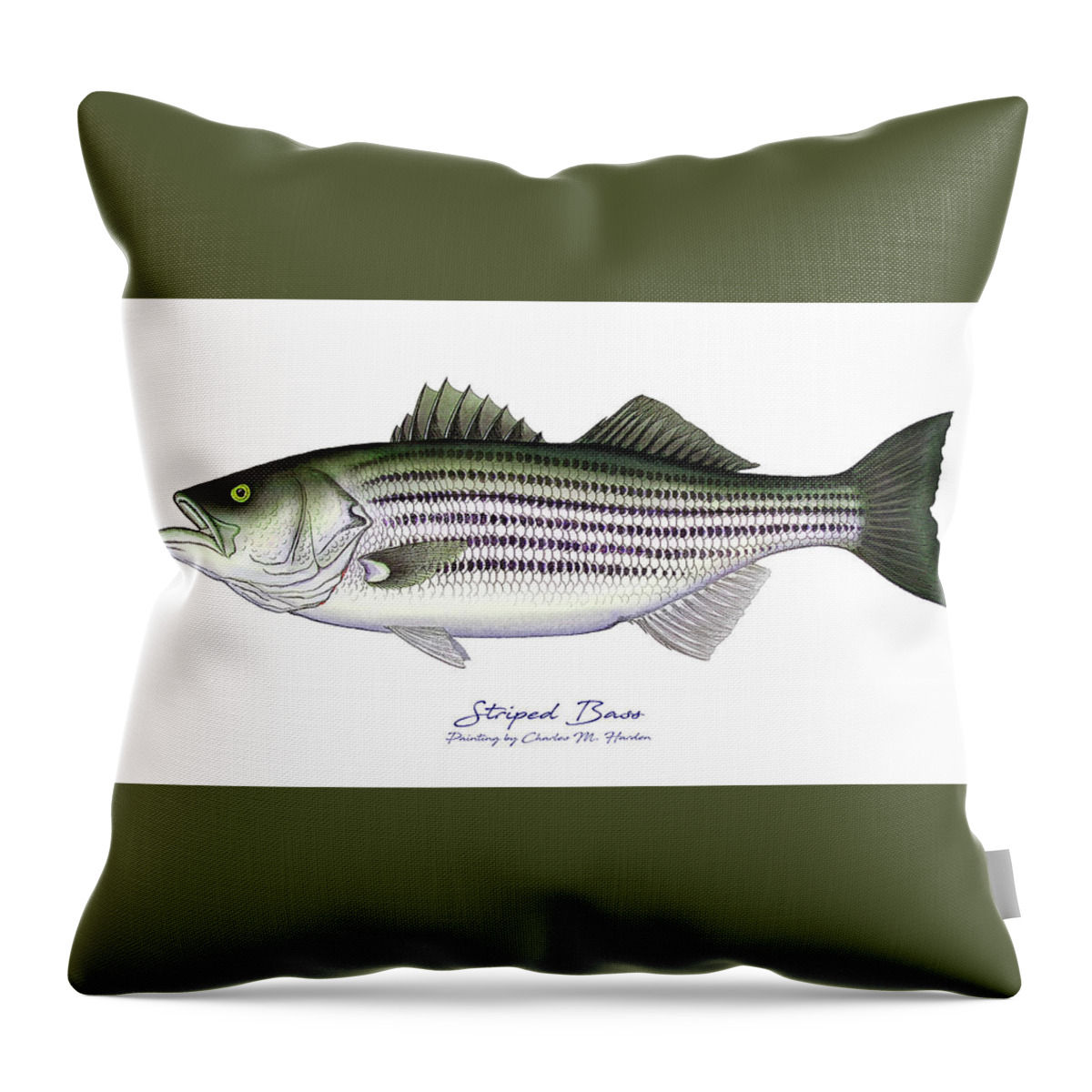 Striped Bass Art Throw Pillow featuring the painting Striped Bass by Charles Harden