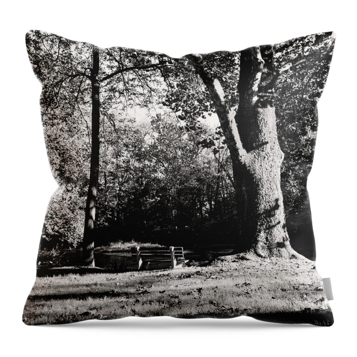 Black And White Throw Pillow featuring the photograph Summer Afternoon on the Yellow Breeches by Steve Ember