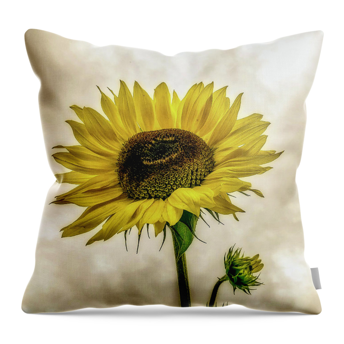 Sunflower Throw Pillow featuring the photograph Sunflower by Anamar Pictures