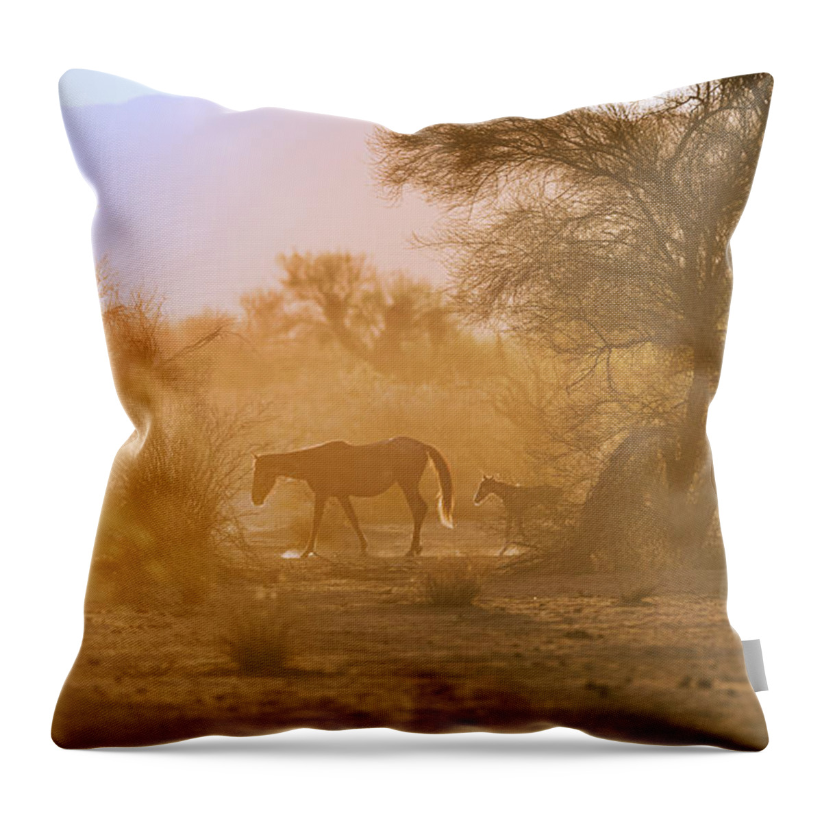 Cute Throw Pillow featuring the photograph Sunrise Walk by Shannon Hastings