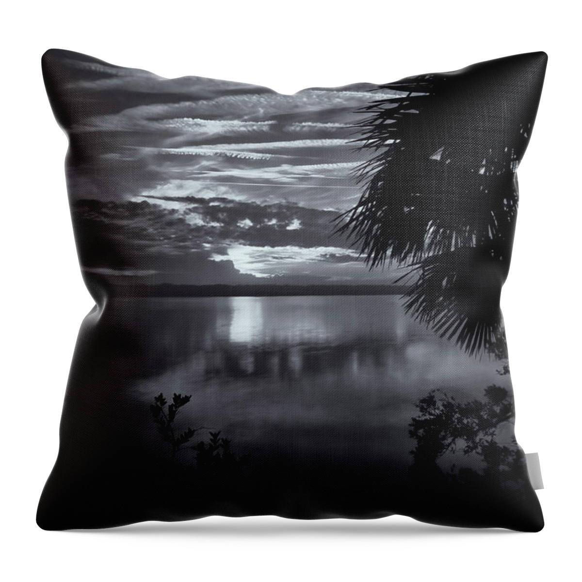 Barberville Roadside Yard Art And Produce Throw Pillow featuring the photograph Sunset In Black And White by Tom Singleton