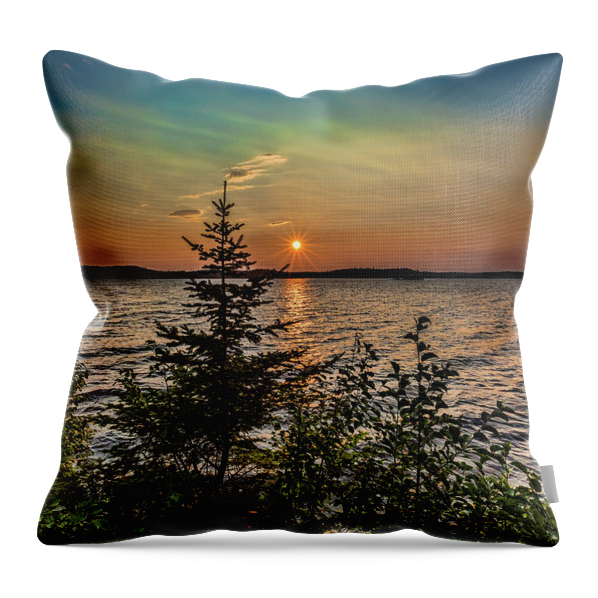 Dog Lake Throw Pillow featuring the photograph Sunset pine by Joe Holley