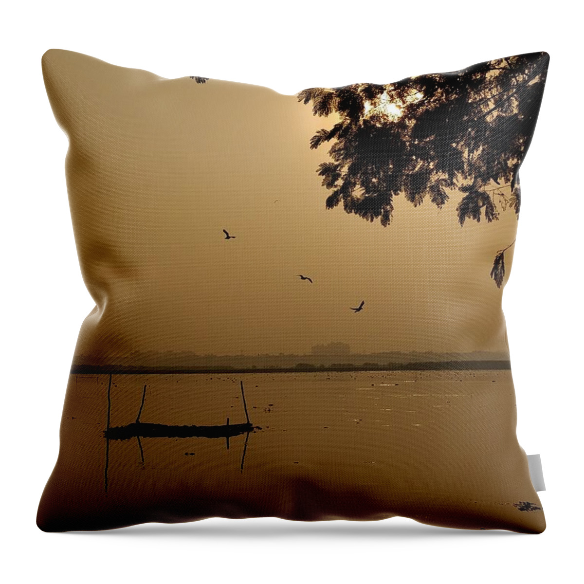 Sunset Throw Pillow featuring the photograph Sunset by Priya Hazra