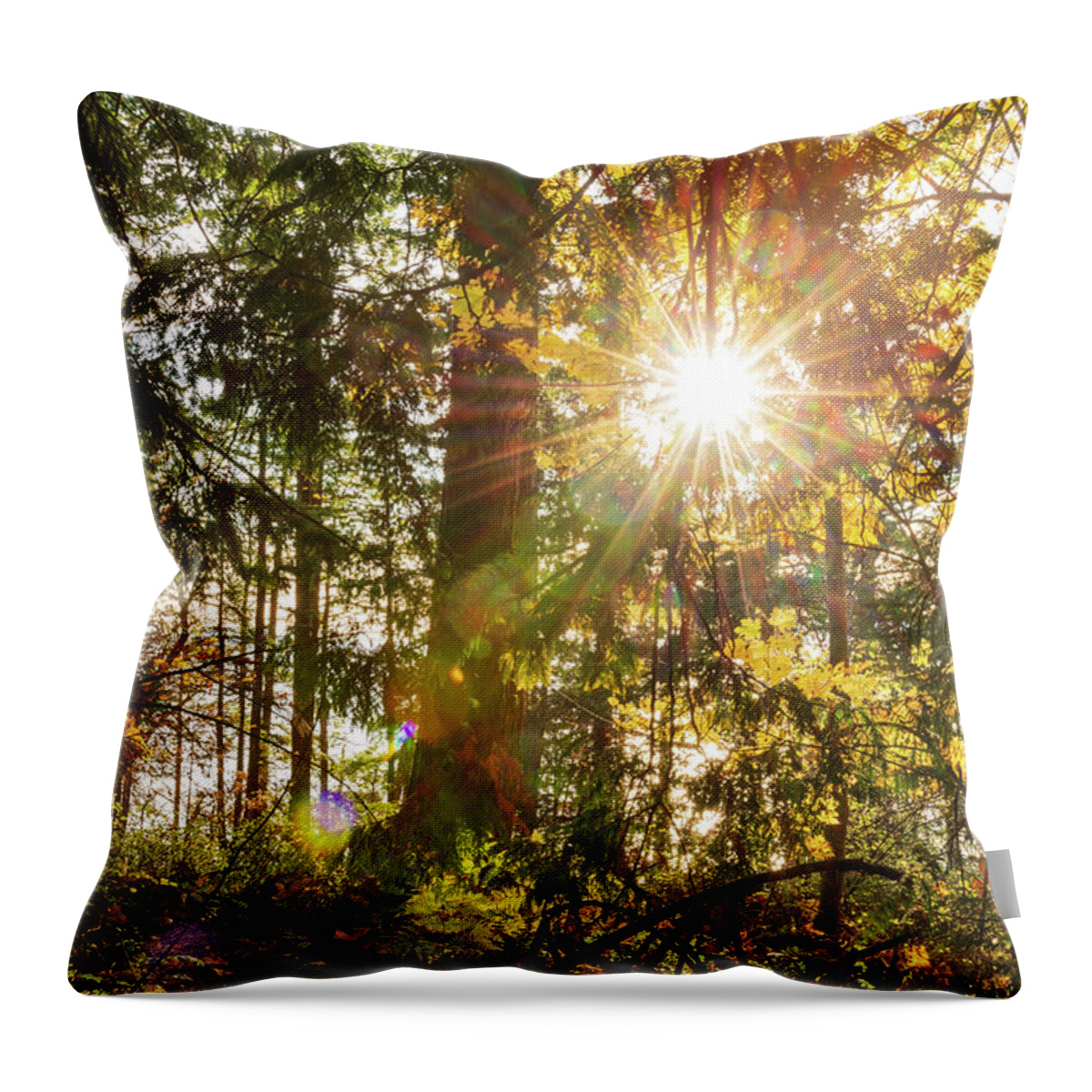 Fall; Autumn; Color; Trees; Forest; Sun; Ray Of Sunshine; Trail; Chuckanut Drive; Washington; Pnw; Pacific North West Throw Pillow featuring the digital art Sunshine at Whatcom County by Michael Lee