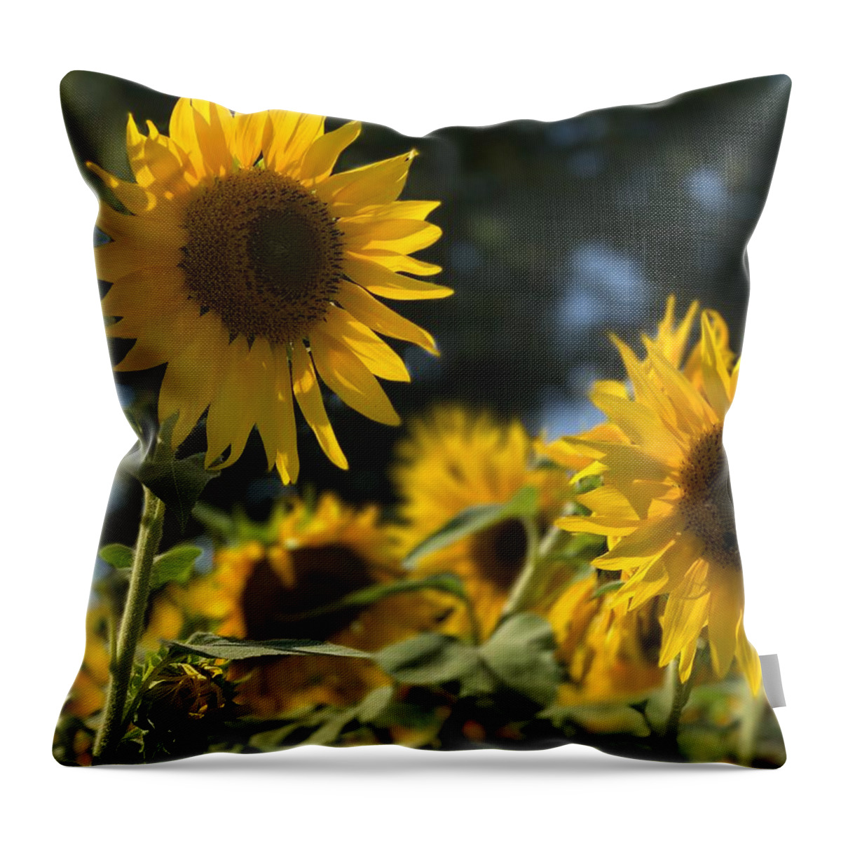 Sunflowers Throw Pillow featuring the photograph Sweet Sunflowers by Lora J Wilson