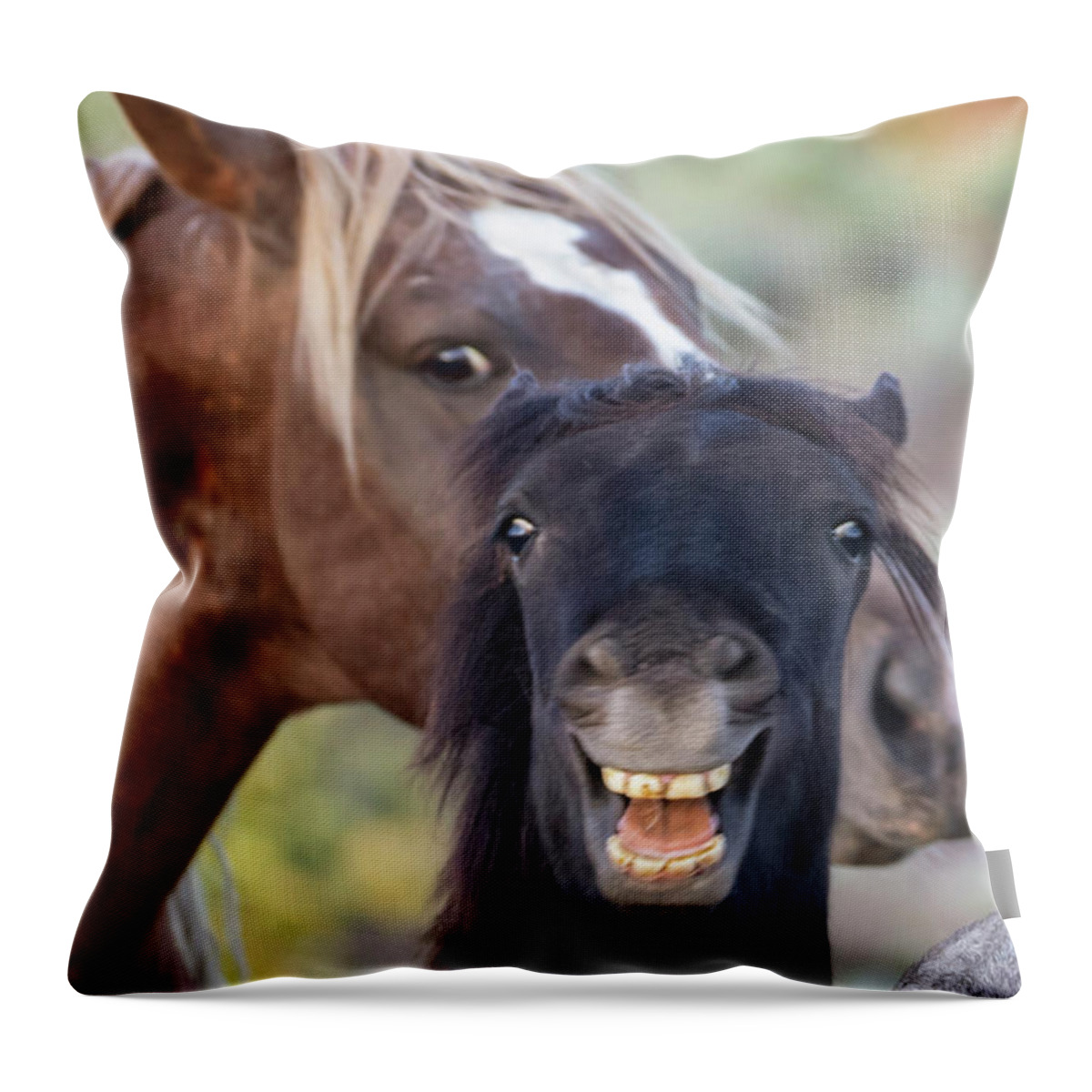  Throw Pillow featuring the photograph _t__3597 by John T Humphrey