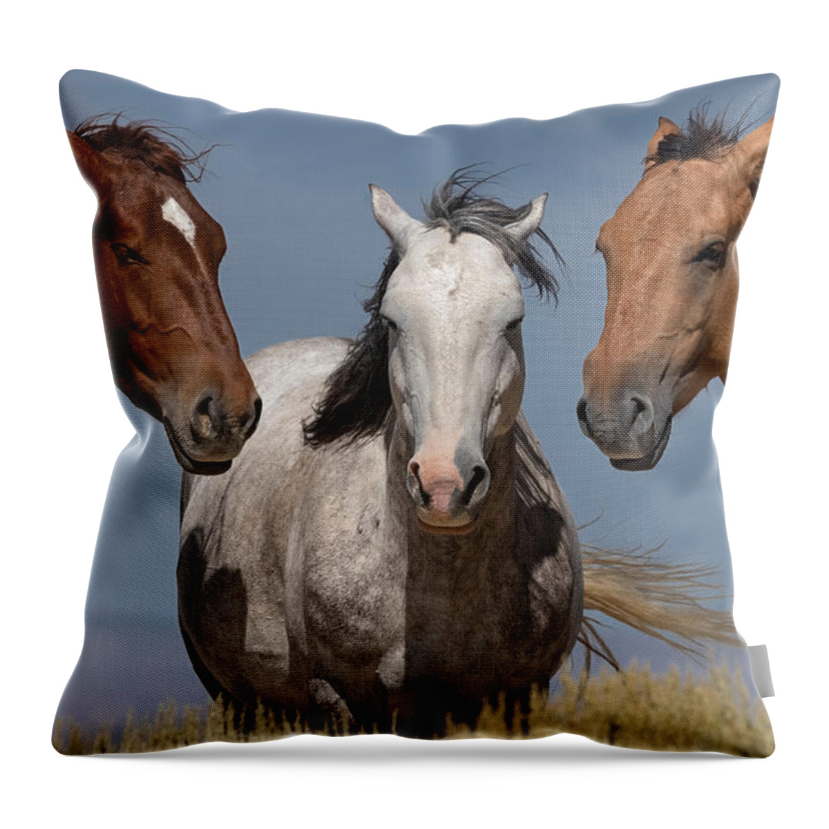 Stallion Throw Pillow featuring the photograph The Bachelors Three Color by Paul Martin