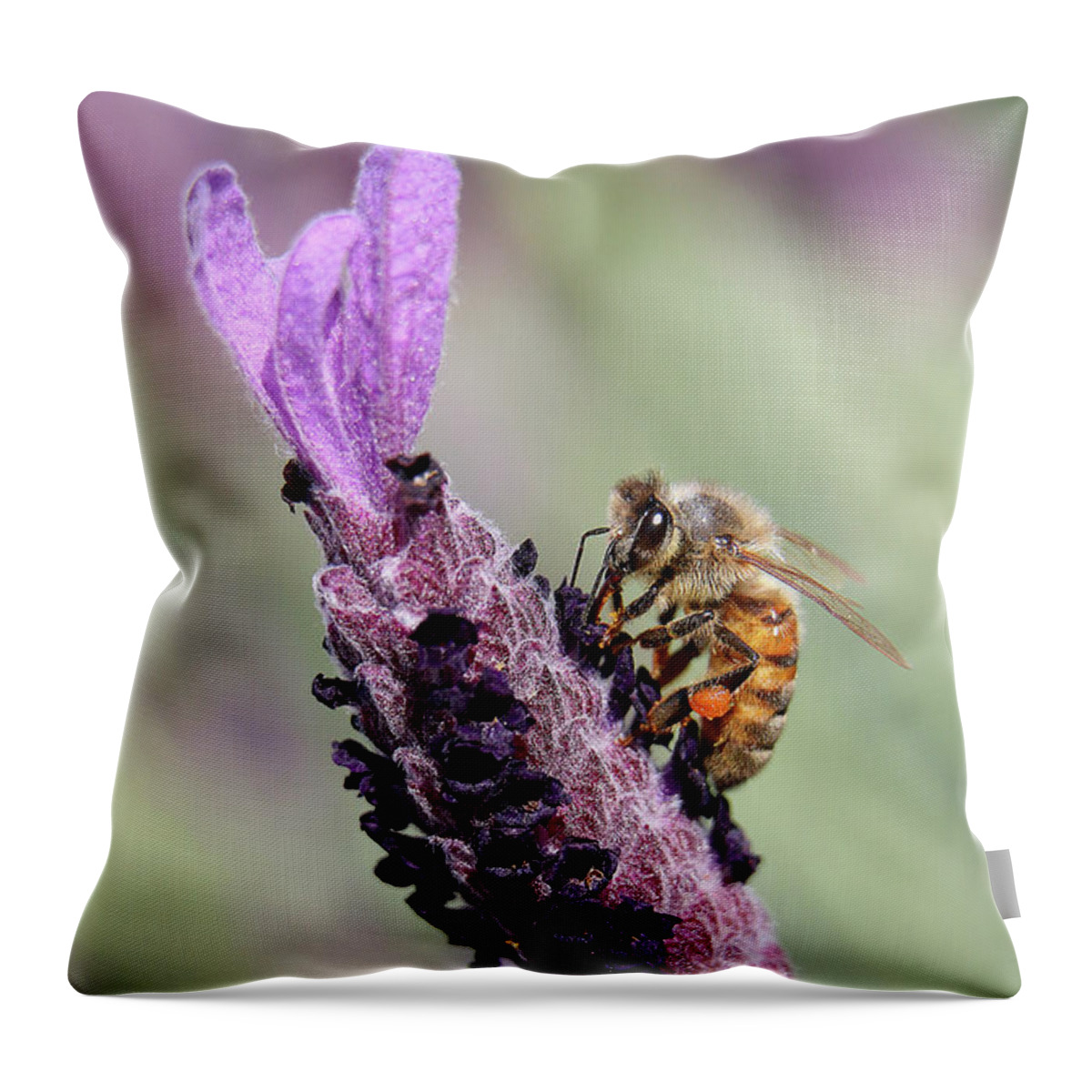 Bees Throw Pillow featuring the digital art The beauty of nature 99943 by Kevin Chippindall