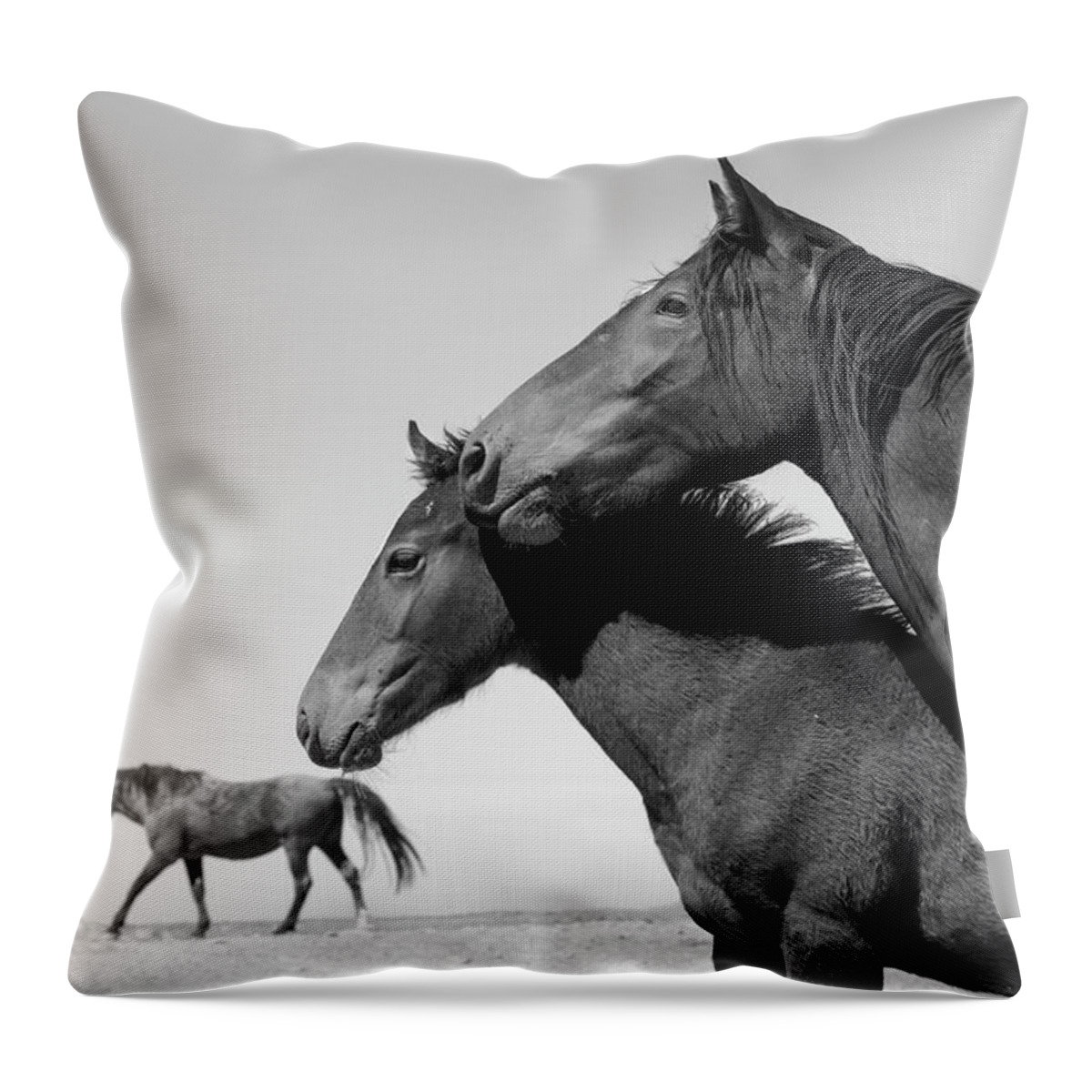 Stallion Throw Pillow featuring the photograph The Desolate Desert. by Paul Martin