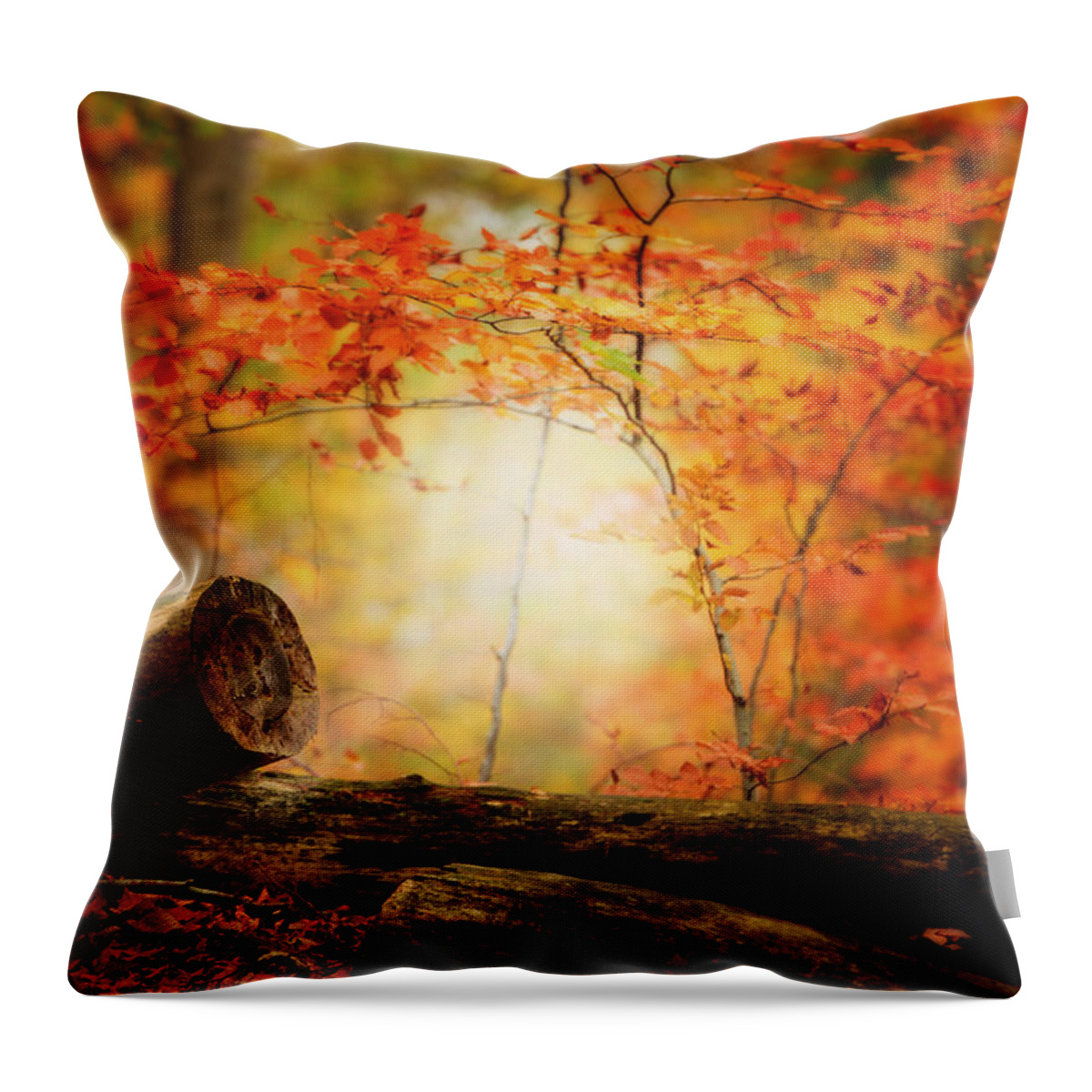 Forest Throw Pillow featuring the photograph The Foresters by Philippe Sainte-Laudy