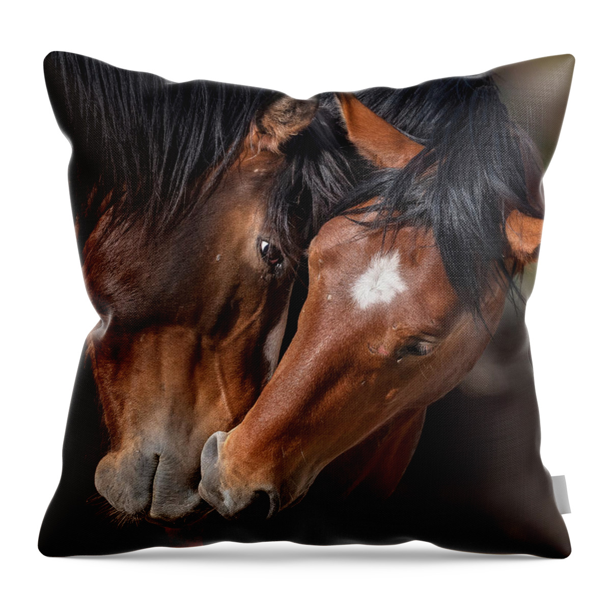 Stallion Throw Pillow featuring the photograph The Gaze. by Paul Martin