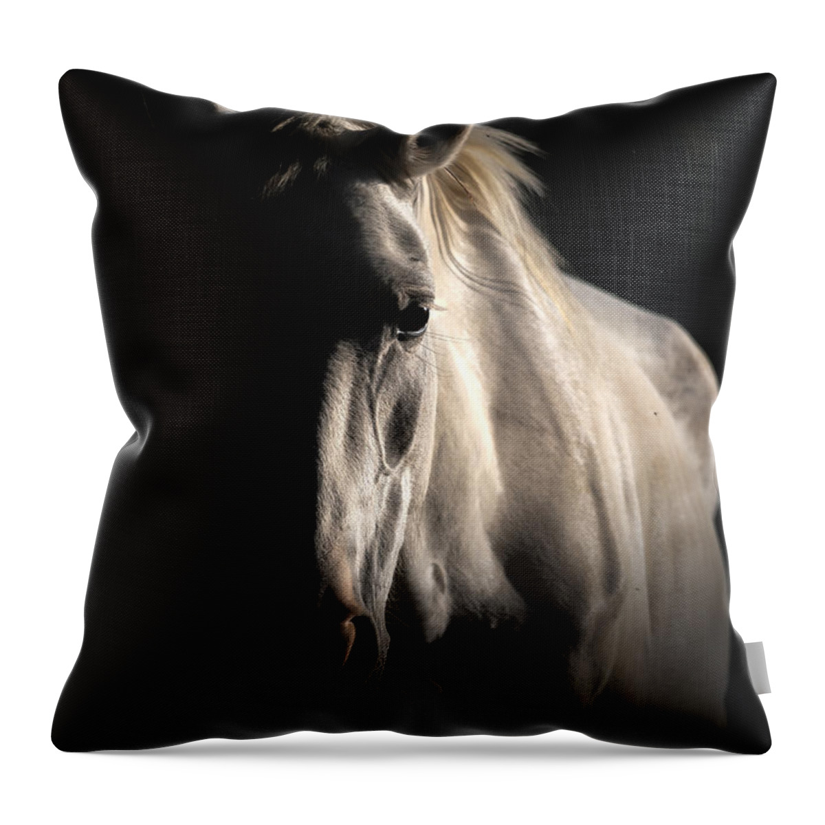 Stallion Throw Pillow featuring the photograph The Grey Ghost. by Paul Martin