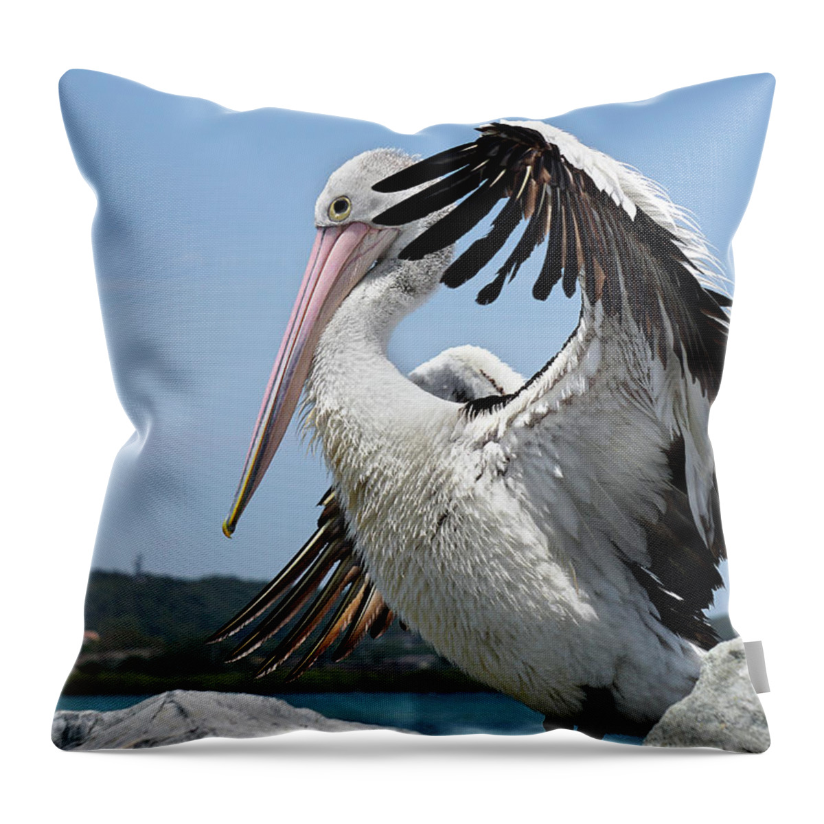 Pelicans Australia  Throw Pillow featuring the digital art The love of pelicans 02 by Kevin Chippindall