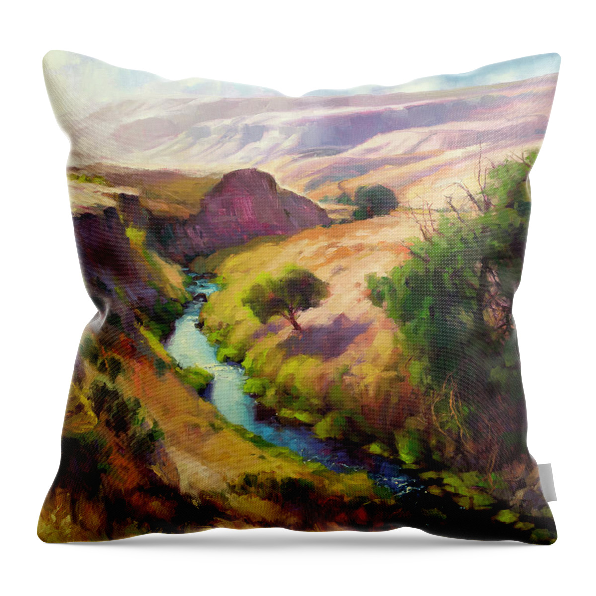 Canyon Throw Pillow featuring the painting The Pataha by Steve Henderson