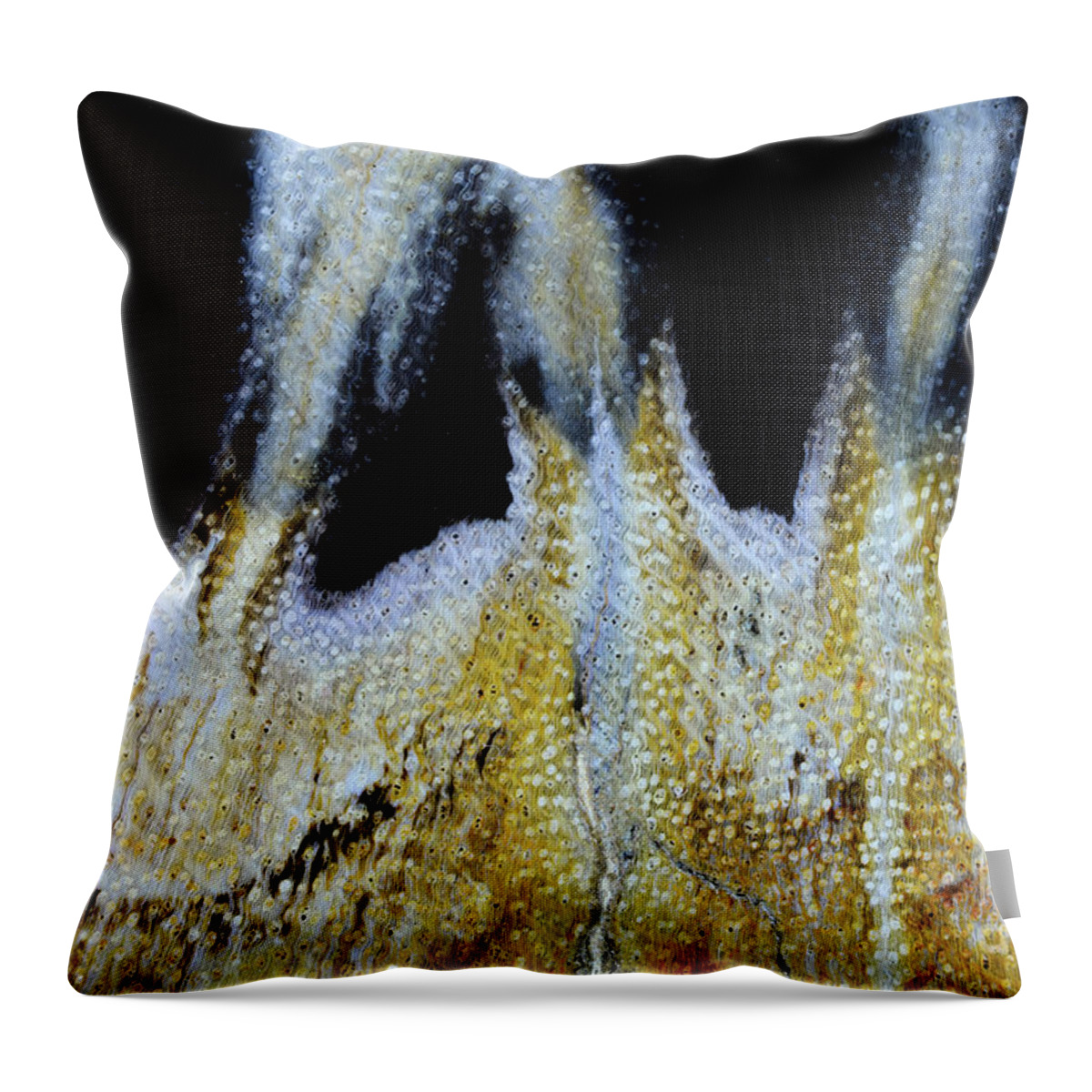 Fine Art Photography Throw Pillow featuring the photograph The Phoenix by John Strong