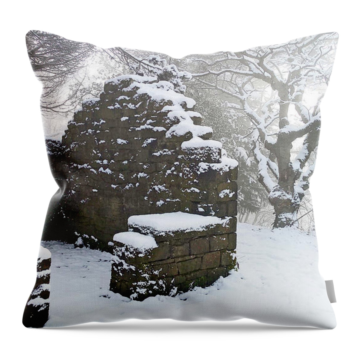 Snow Throw Pillow featuring the photograph The Ruined Bothy by Lachlan Main