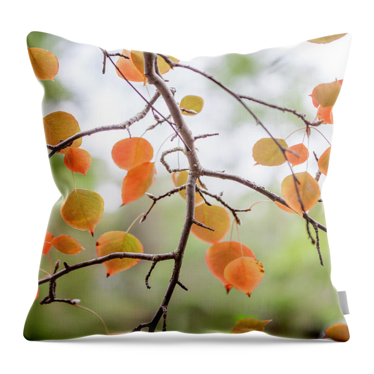 Hunter Valley Throw Pillow featuring the photograph The Start Of Fall by Az Jackson