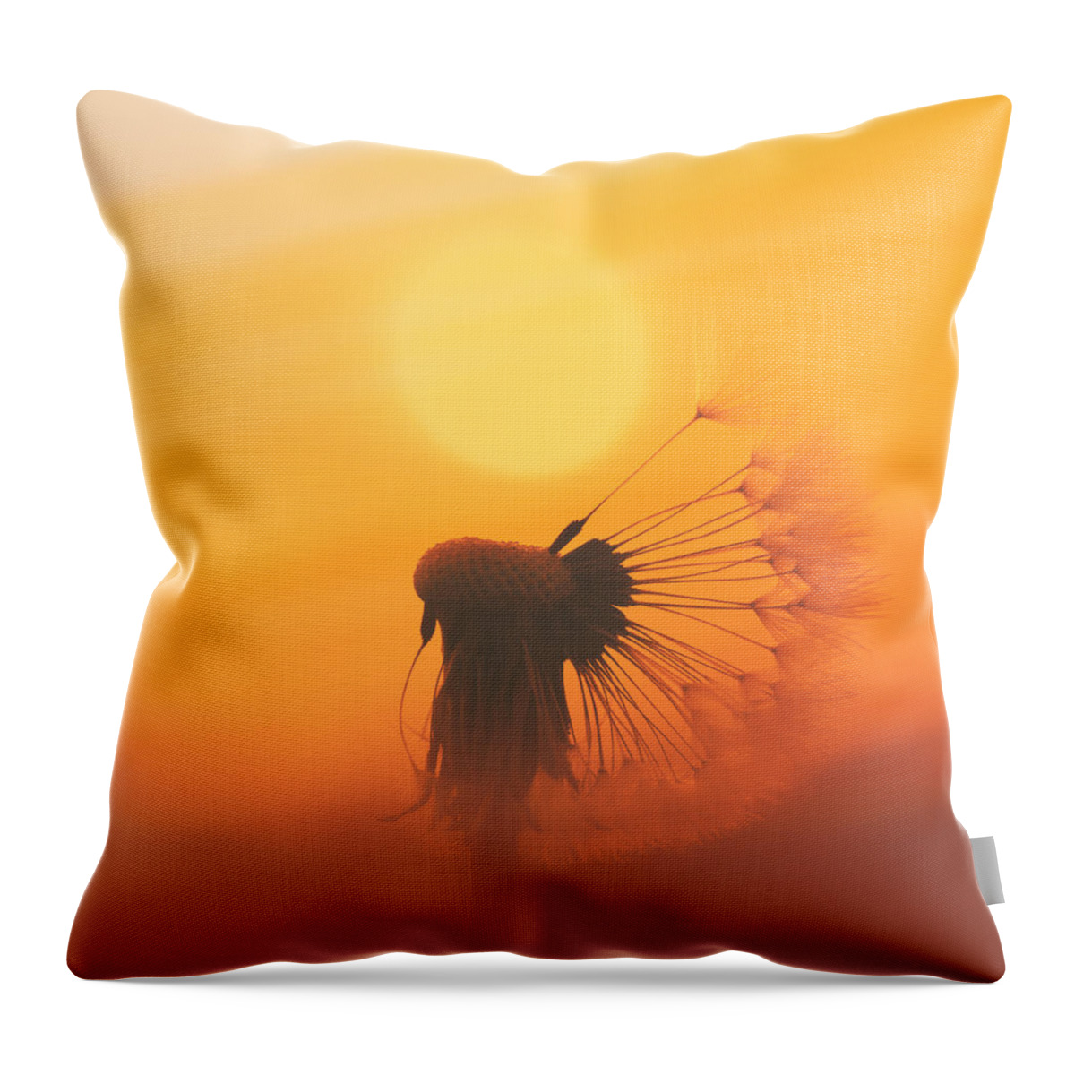 Sun Throw Pillow featuring the photograph The Sun by Jaroslav Buna