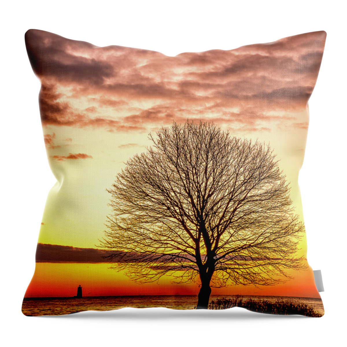 New Hampshire Throw Pillow featuring the photograph The Tree by Jeff Sinon