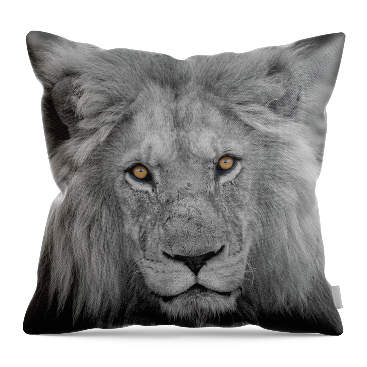 Selective Color Throw Pillow featuring the photograph Those Eyes by Randy Robbins