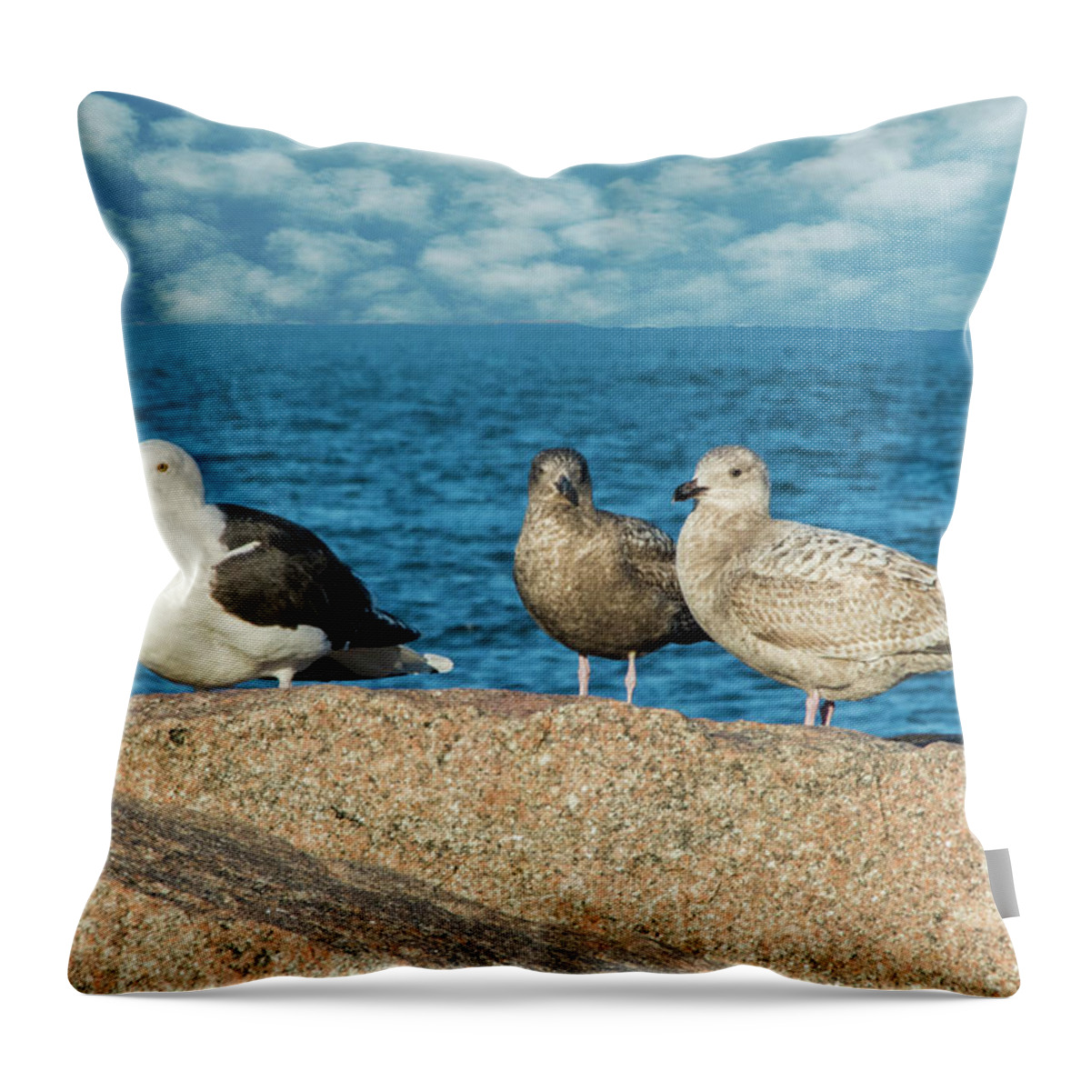 Gulls Throw Pillow featuring the photograph Three On The Rocks by Cathy Kovarik
