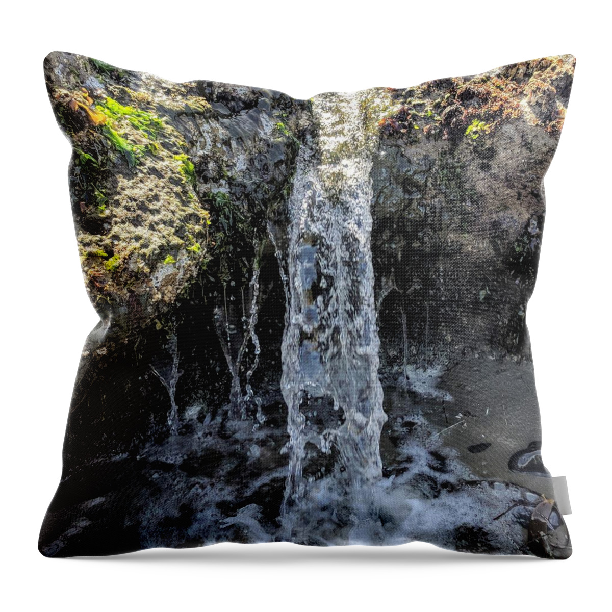Water Throw Pillow featuring the photograph Tidal Falls by Misty Morehead