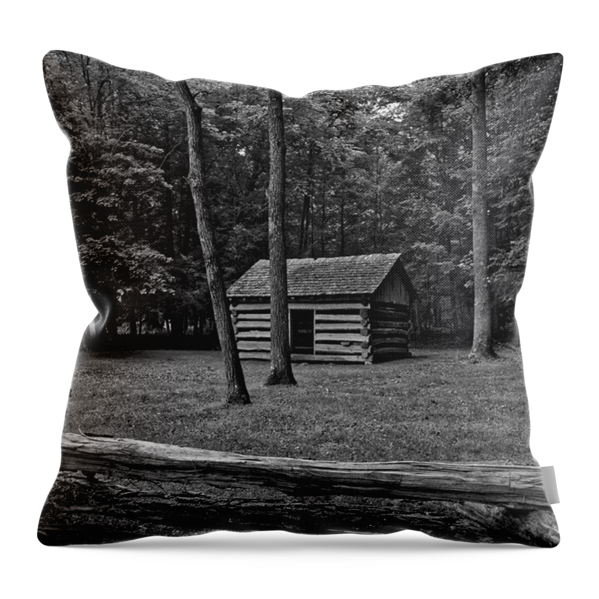 Nunweiler Throw Pillow featuring the photograph Tipton Place by Nunweiler Photography
