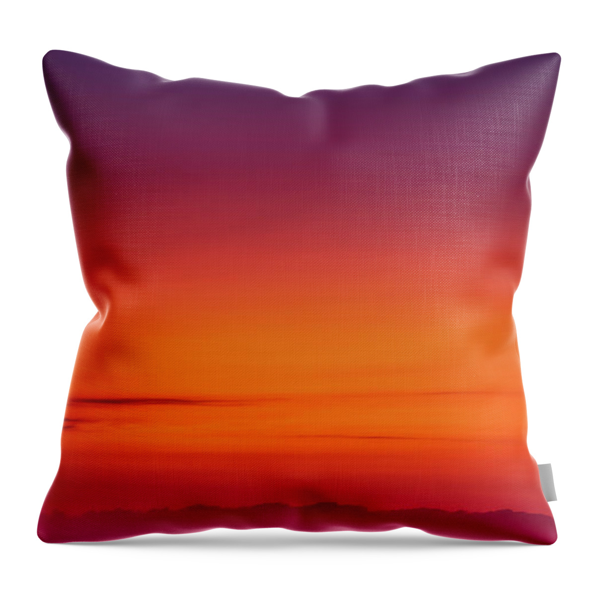 Fishing Throw Pillow featuring the photograph Too late to come fishing by Micah Offman