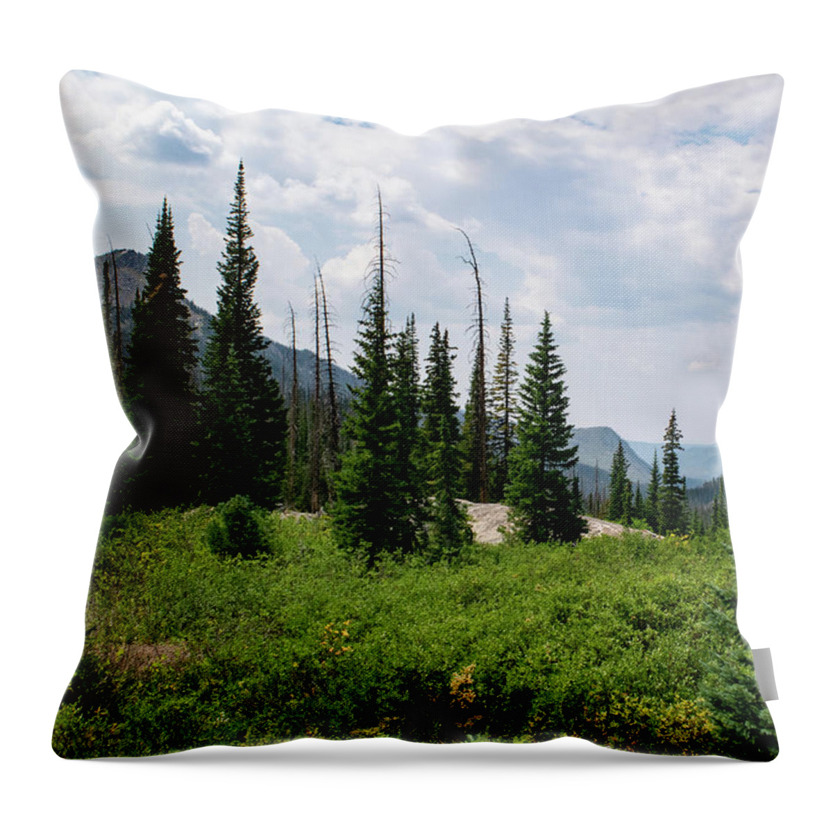 Mountain Throw Pillow featuring the photograph Trail to Gilpin Lake by Nicole Lloyd