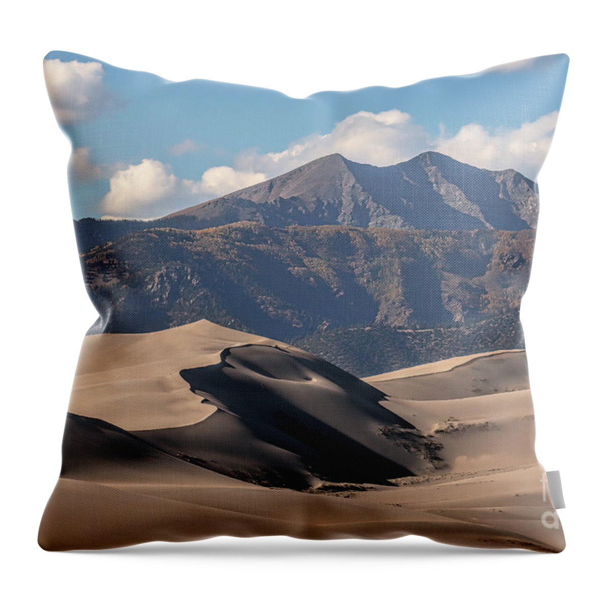 Dunes Throw Pillow featuring the photograph Transitions by Jim Garrison