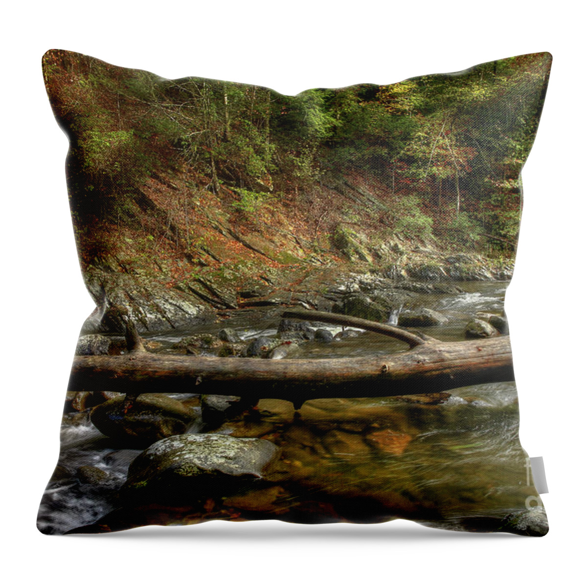 Tree Throw Pillow featuring the photograph Tree Across The River by Mike Eingle