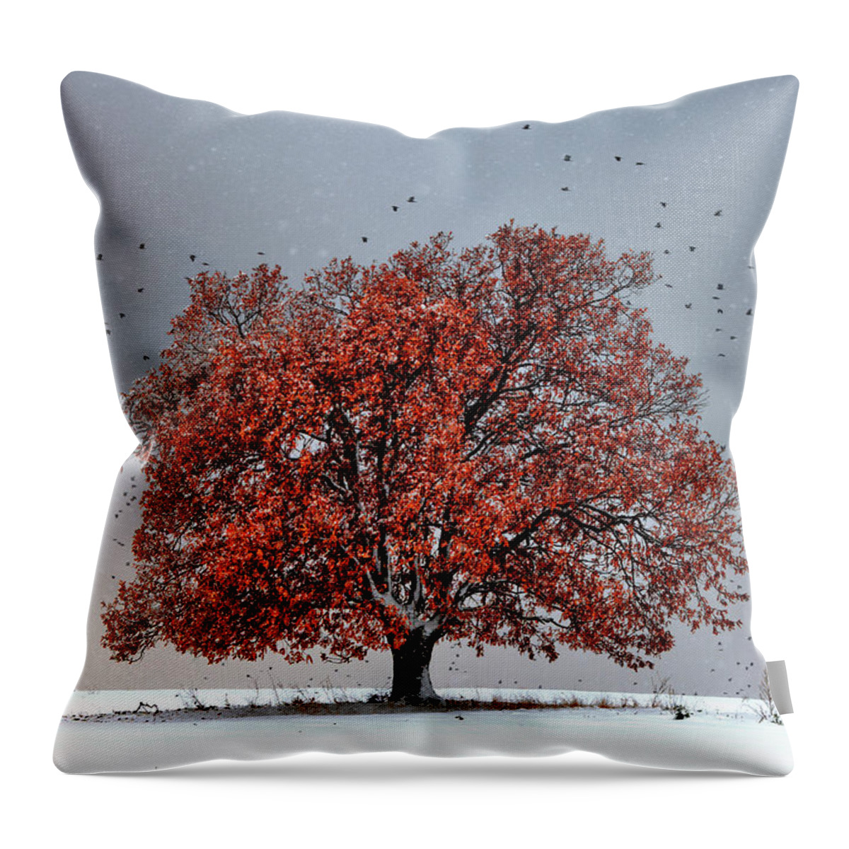 Bulgaria Throw Pillow featuring the photograph Tree Of Life by Evgeni Dinev