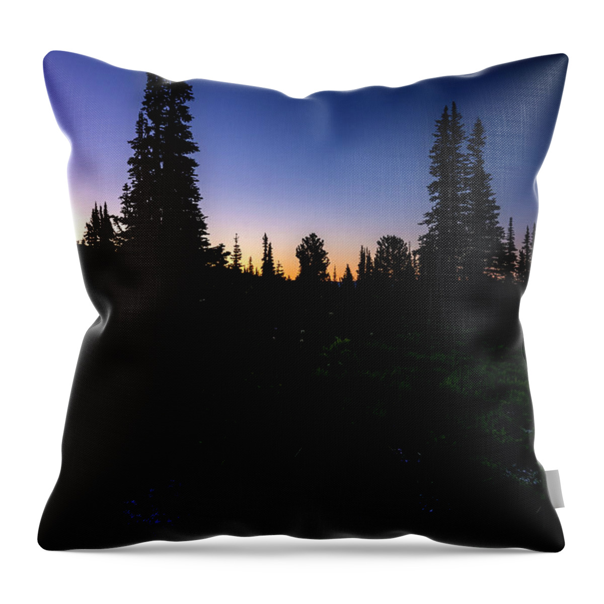 Tree Throw Pillow featuring the photograph Tree Silhouette Sunrise 2 by Pelo Blanco Photo