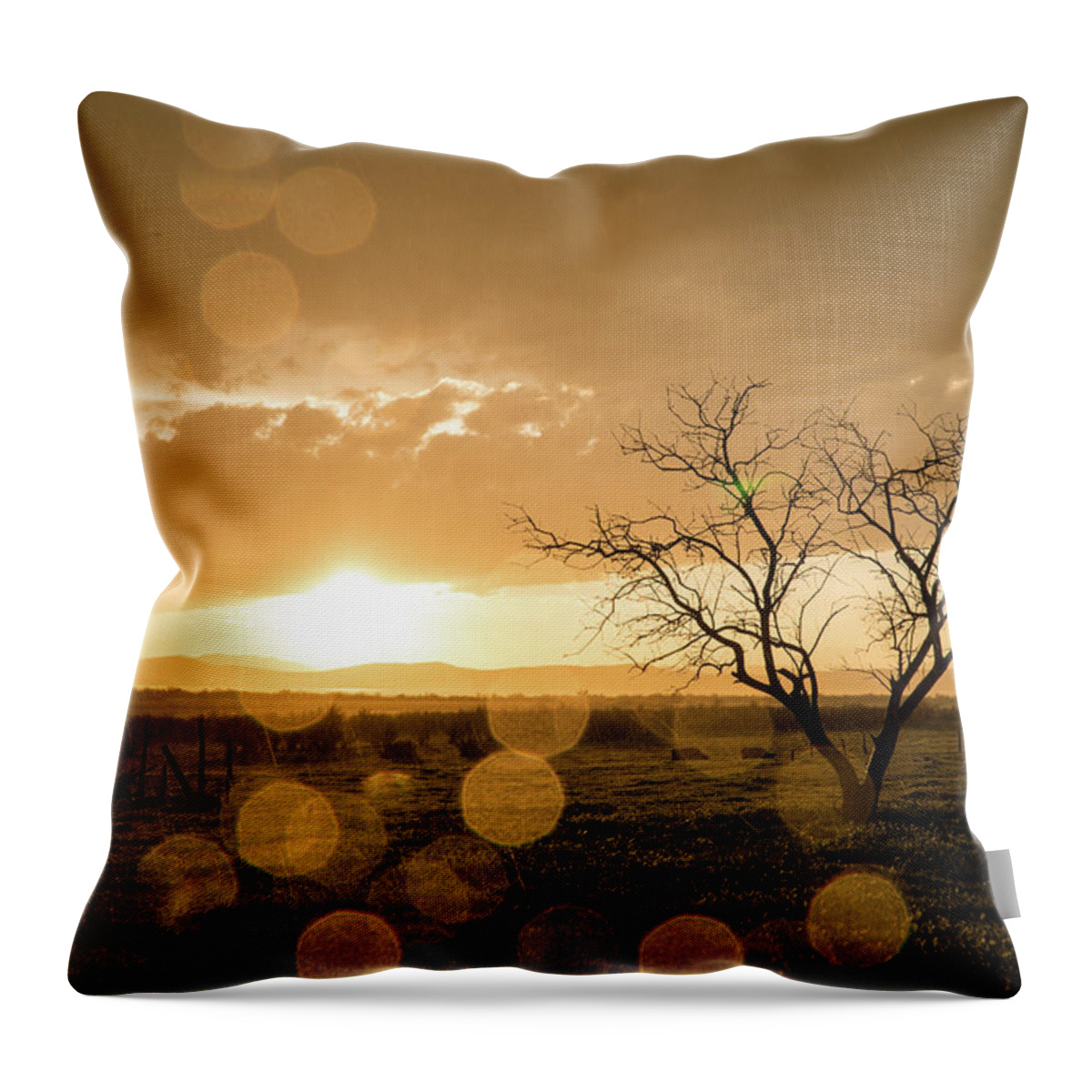 Sunset Throw Pillow featuring the photograph Tree Sunset by Wesley Aston