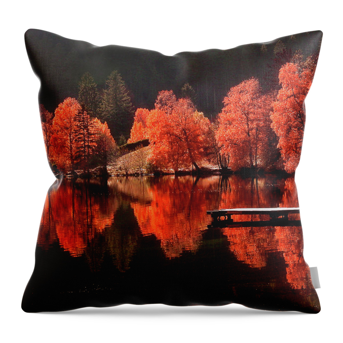 Autumn Throw Pillow featuring the photograph Trees Facing Trees by Philippe Sainte-Laudy