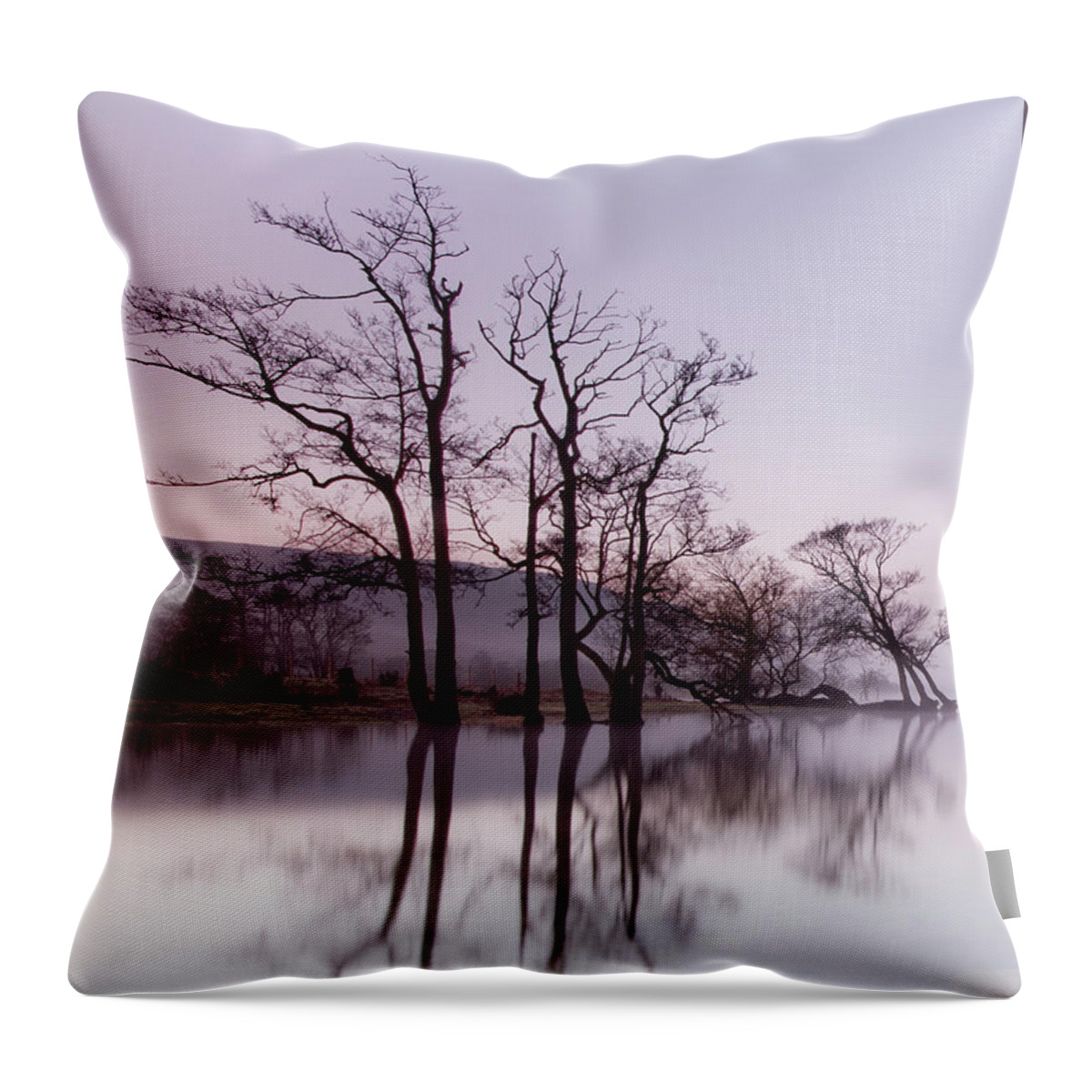 Landscape Throw Pillow featuring the photograph Trees in the Mist on Lake Ullswater by Anita Nicholson