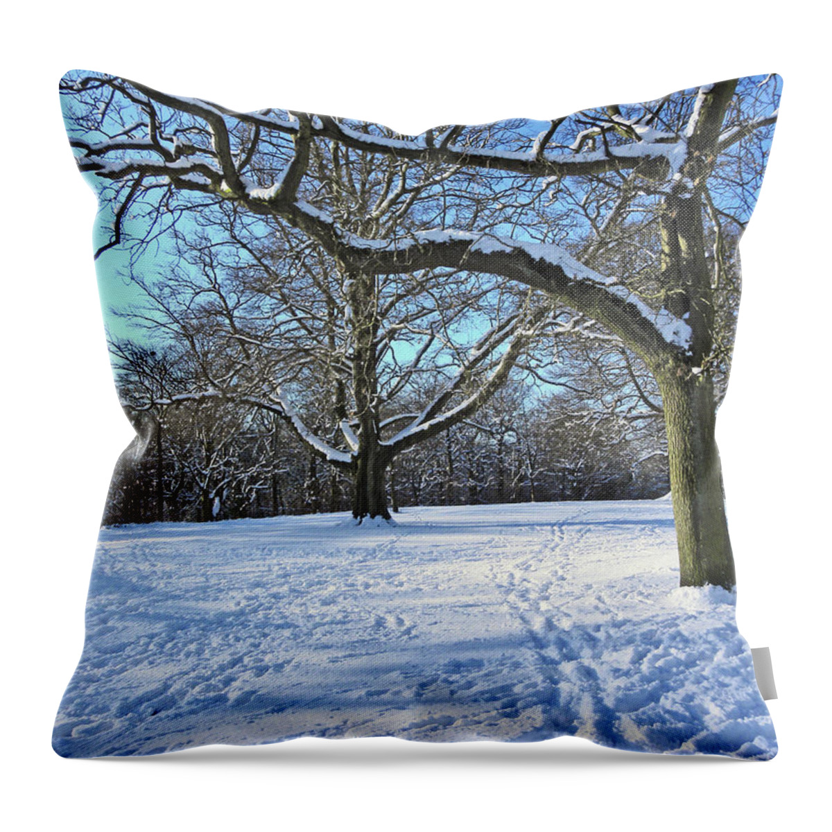 Snow Throw Pillow featuring the photograph Trees in The Snow by Lachlan Main