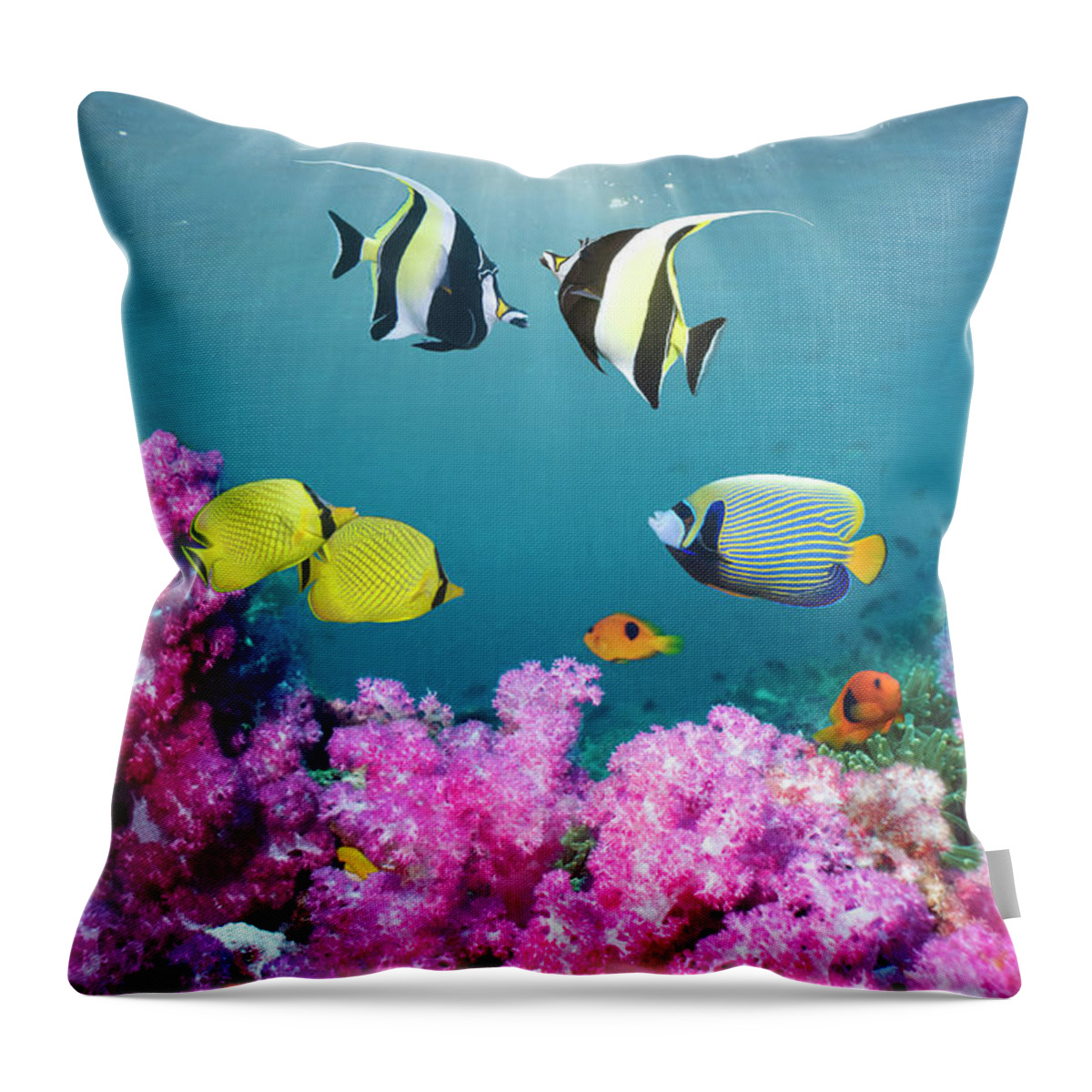 Tranquility Throw Pillow featuring the photograph Tropical Reef Fish Over Soft Corals by Georgette Douwma