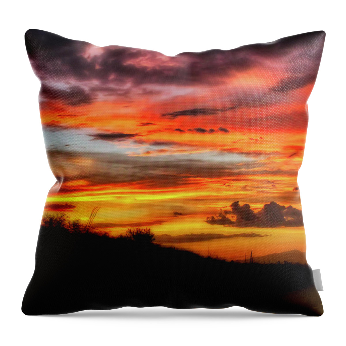Az80 Throw Pillow featuring the photograph AZ80 from Tombstone to Tucson by Micah Offman