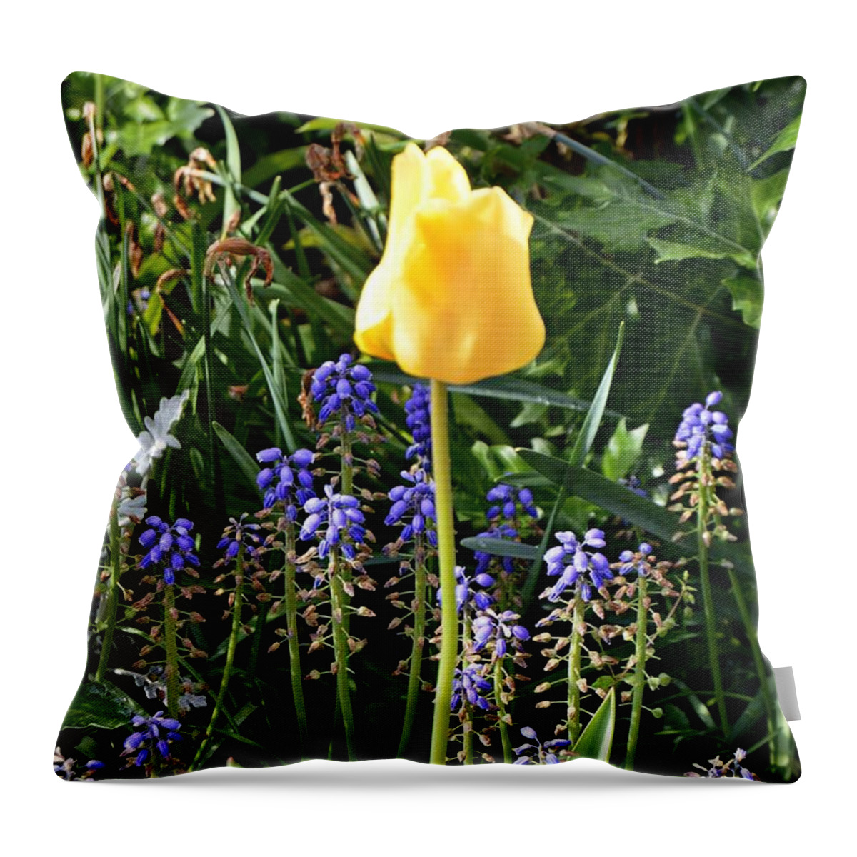 Flower Throw Pillow featuring the photograph Tulip by Thomas Schroeder